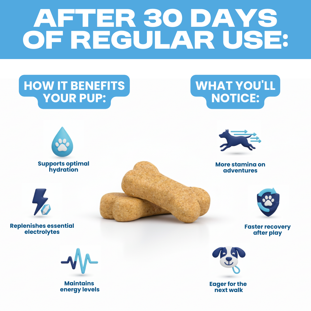 Dog Electrolyte+ Chews