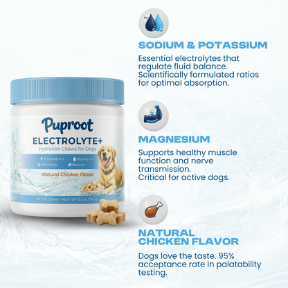 Dog Electrolyte+ Chews