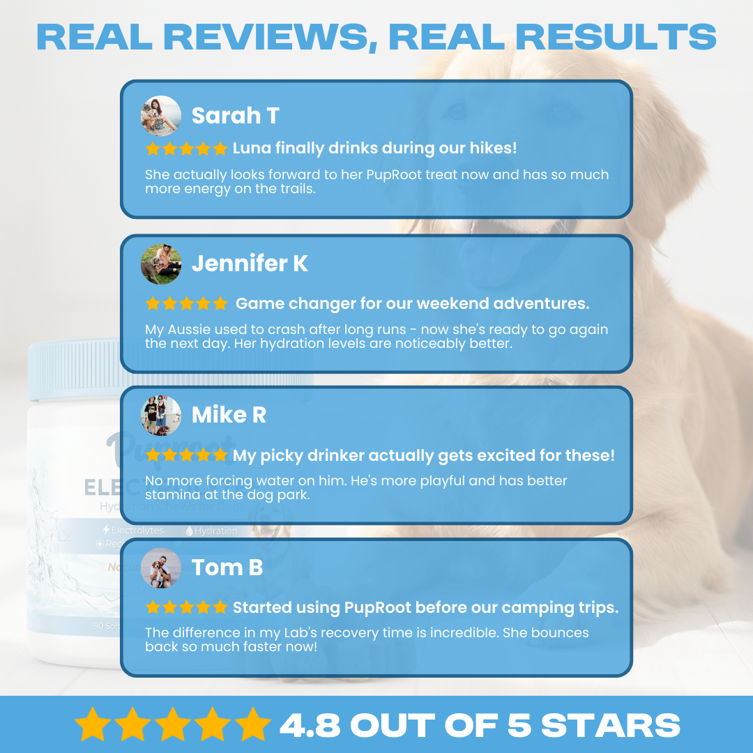 Dog Electrolyte+ Chews