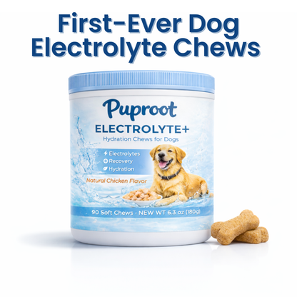 Dog Electrolyte+ Chews